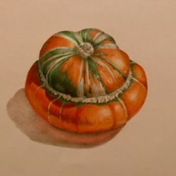 Turban Squash Recorded Video